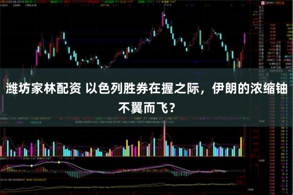 潍坊家林配资 以色列胜券在握之际，伊朗的浓缩铀不翼而飞？