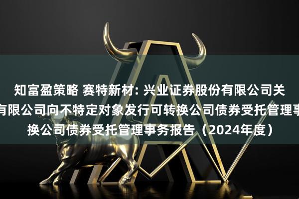 知富盈策略 赛特新材: 兴业证券股份有限公司关于福建赛特新材股份有限公司向不特定对象发行可转换公司债券受托管理事务报告（2024年度）