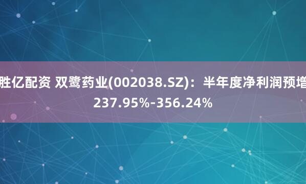 胜亿配资 双鹭药业(002038.SZ)：半年度净利润预增237.95%-356.24%