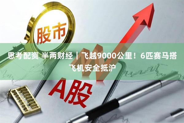 思考配资 半两财经｜飞越9000公里！6匹赛马搭飞机安全抵沪
