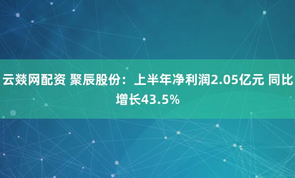 云燚网配资 聚辰股份：上半年净利润2.05亿元 同比增长43.5%