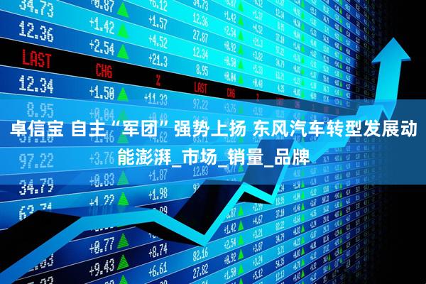 卓信宝 自主“军团”强势上扬 东风汽车转型发展动能澎湃_市场_销量_品牌