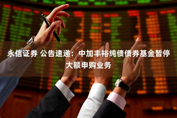 永信证券 公告速递：中加丰裕纯债债券基金暂停大额申购业务