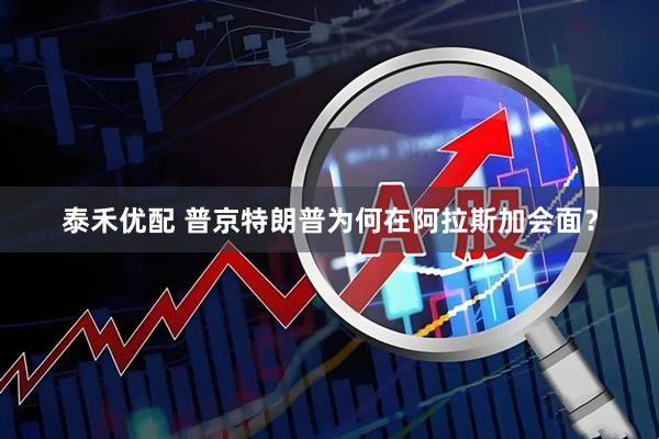 泰禾优配 普京特朗普为何在阿拉斯加会面？