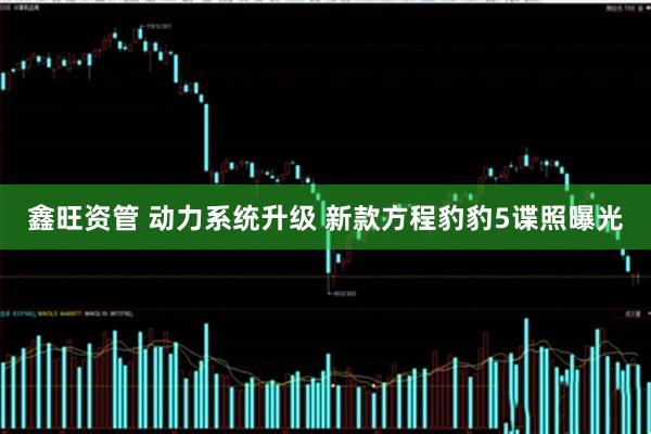 鑫旺资管 动力系统升级 新款方程豹豹5谍照曝光